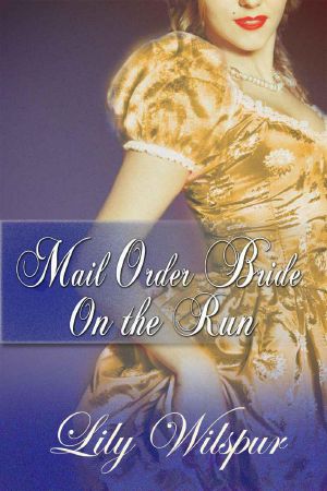 [Mail Order Bride 01] • Mail Order Bride · on the Run · A Historical Mail Order Bride Story (Mail Order Brides)